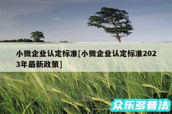 小微企业认定标准及小微企业认定标准2024年最新政策