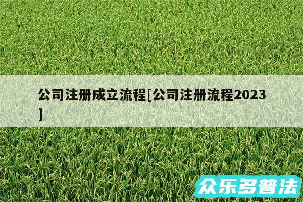 公司注册成立流程及公司注册流程2024
