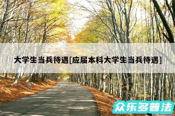 大学生当兵待遇及应届本科大学生当兵待遇