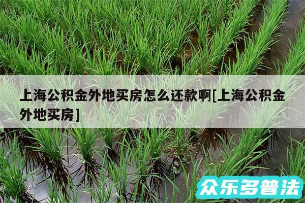 上海公积金外地买房怎么还款啊及上海公积金外地买房
