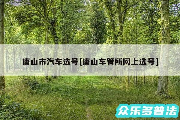 唐山市汽车选号及唐山车管所网上选号