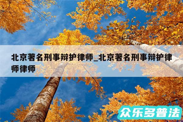 北京著名刑事辩护律师_北京著名刑事辩护律师律师