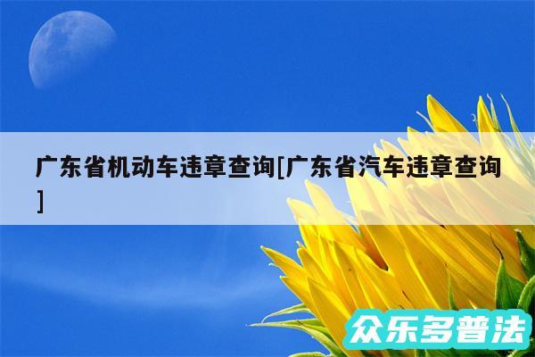 广东省机动车违章查询及广东省汽车违章查询