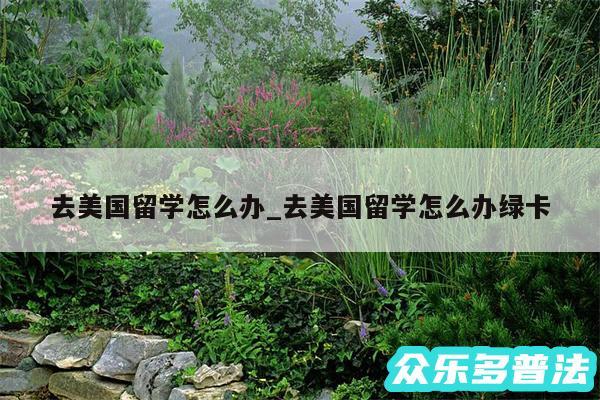 去美国留学怎么办_去美国留学怎么办绿卡