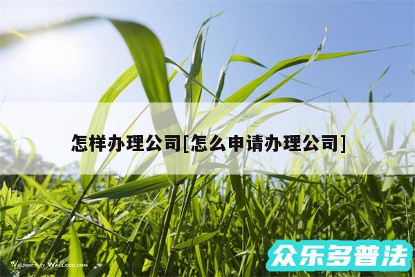 怎样办理公司及怎么申请办理公司