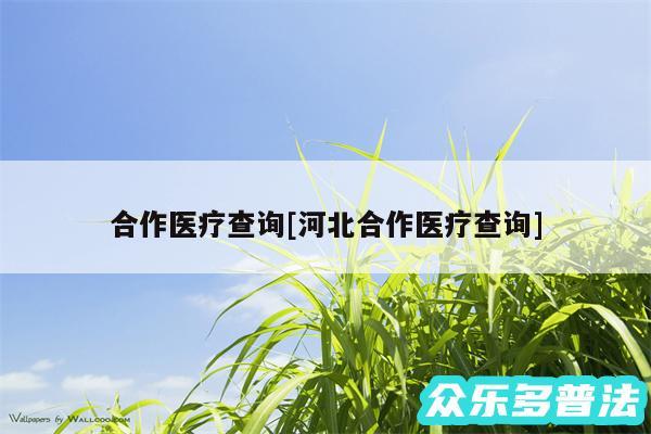 合作医疗查询及河北合作医疗查询