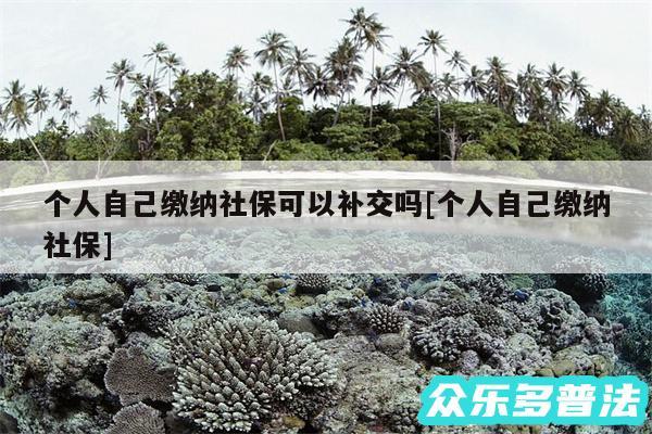 个人自己缴纳社保可以补交吗及个人自己缴纳社保