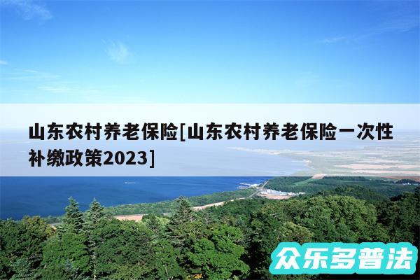 山东农村养老保险及山东农村养老保险一次性补缴政策2024