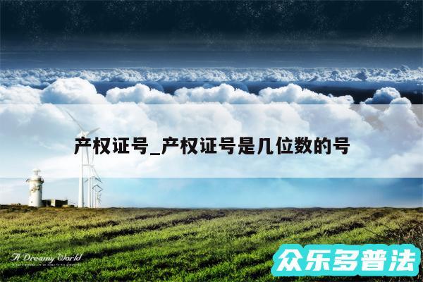 产权证号_产权证号是几位数的号
