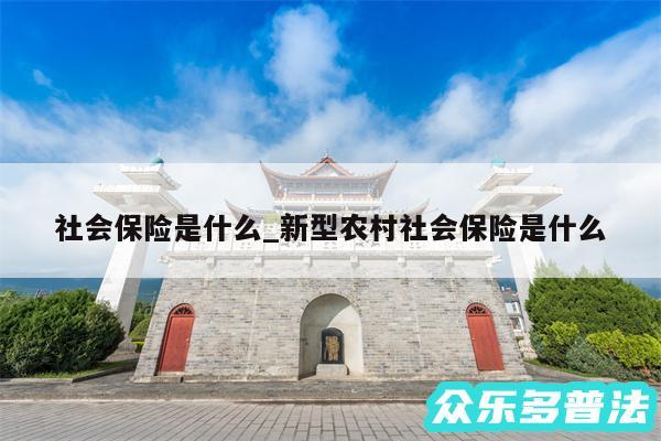 社会保险是什么_新型农村社会保险是什么