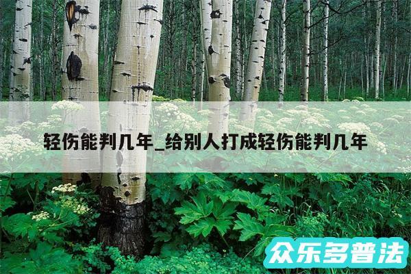 轻伤能判几年_给别人打成轻伤能判几年