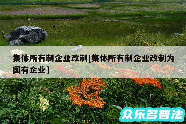 集体所有制企业改制及集体所有制企业改制为国有企业
