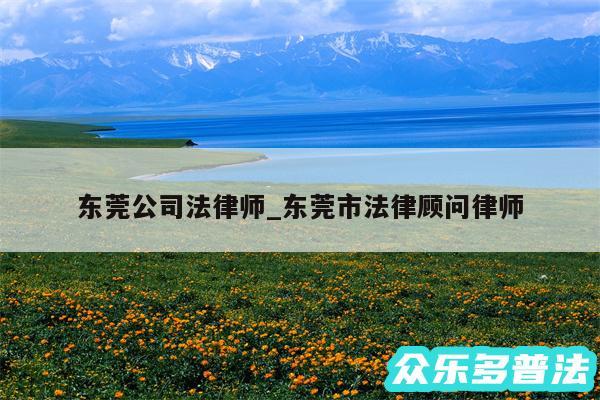 东莞公司法律师_东莞市法律顾问律师
