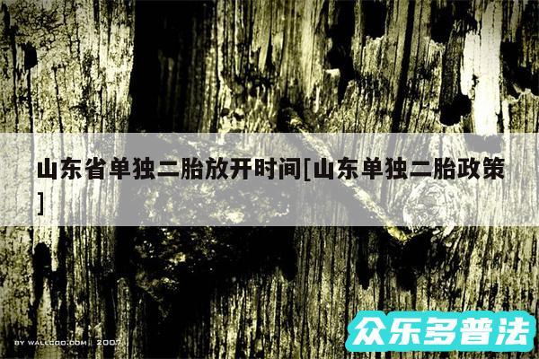 山东省单独二胎放开时间及山东单独二胎政策