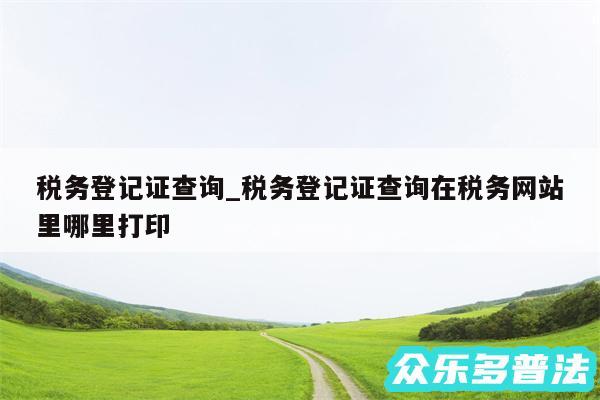 税务登记证查询_税务登记证查询在税务网站里哪里打印