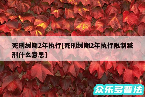 死刑缓期2年执行及死刑缓期2年执行限制减刑什么意思