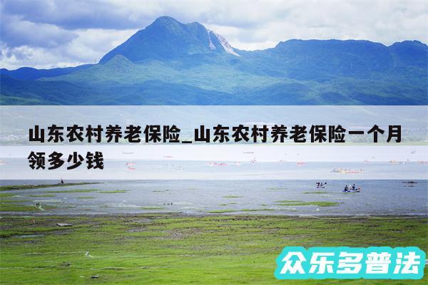 山东农村养老保险_山东农村养老保险一个月领多少钱