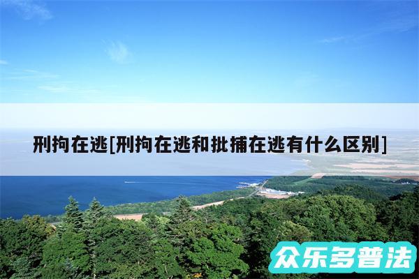 刑拘在逃及刑拘在逃和批捕在逃有什么区别