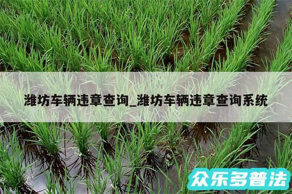 潍坊车辆违章查询_潍坊车辆违章查询系统