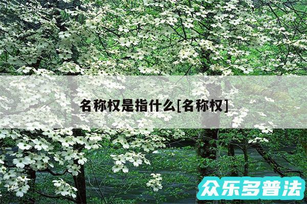 名称权是指什么及名称权