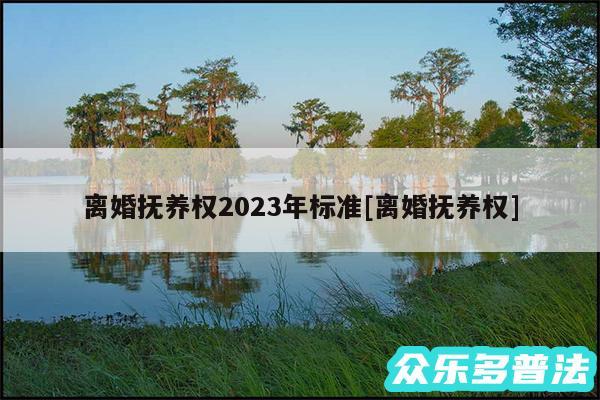 离婚抚养权2024年标准及离婚抚养权