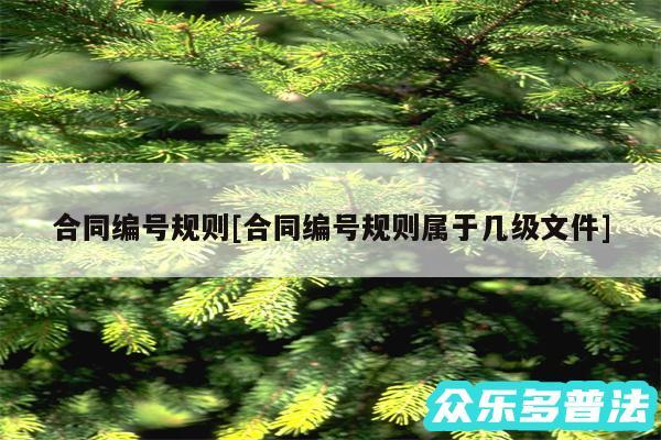 合同编号规则及合同编号规则属于几级文件