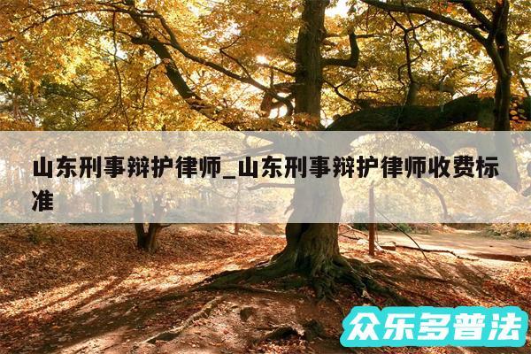 山东刑事辩护律师_山东刑事辩护律师收费标准