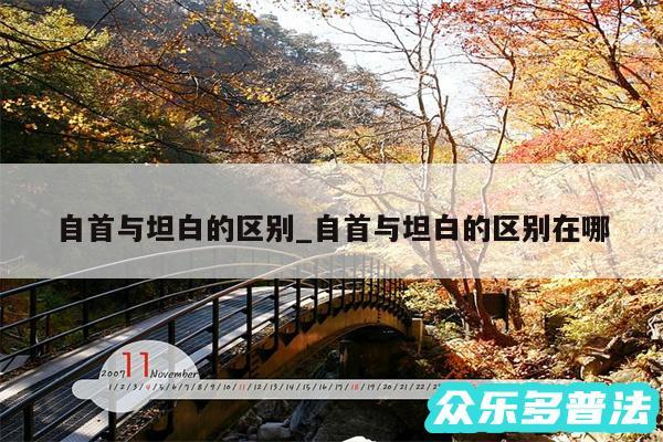自首与坦白的区别_自首与坦白的区别在哪