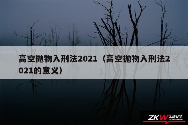 高空抛物入刑法2024以及高空抛物入刑法2024的意义