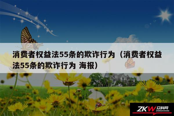 消费者权益法55条的欺诈行为以及消费者权益法55条的欺诈行为 海报