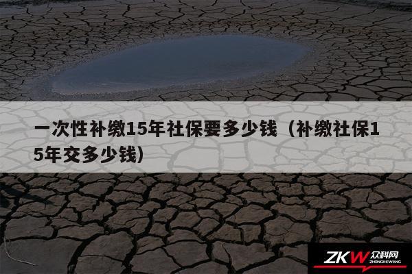 一次性补缴15年社保要多少钱以及补缴社保15年交多少钱