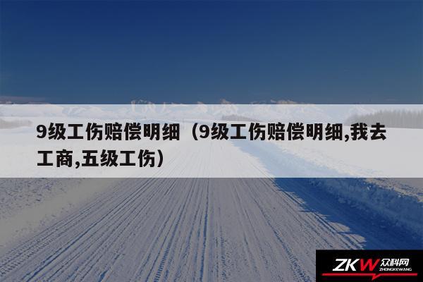 9级工伤赔偿明细以及9级工伤赔偿明细,我去工商,五级工伤