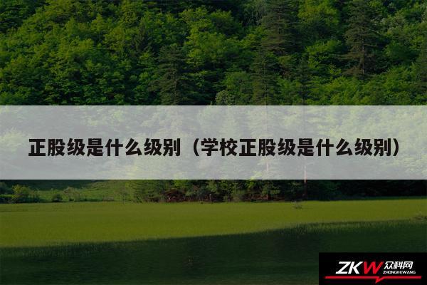 正股级是什么级别以及学校正股级是什么级别