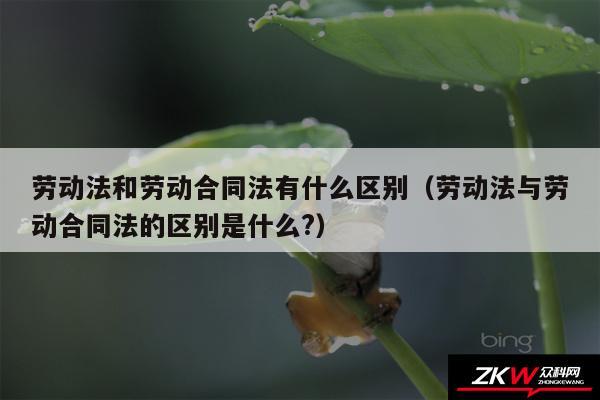 劳动法和劳动合同法有什么区别以及劳动法与劳动合同法的区别是什么?