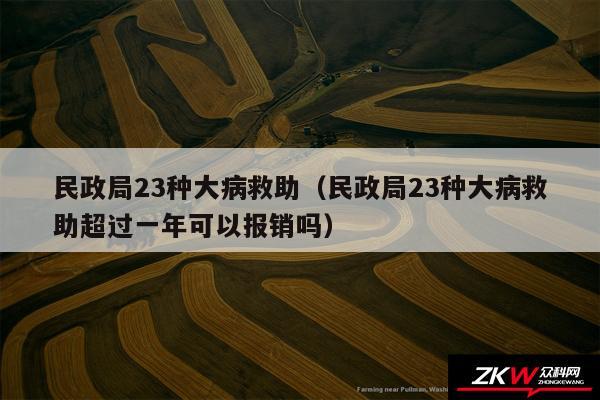 民政局23种大病救助以及民政局23种大病救助超过一年可以报销吗