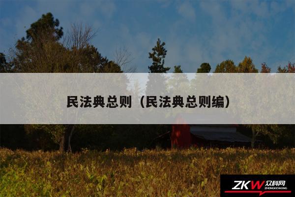 民法典总则以及民法典总则编