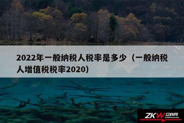 2024年一般纳税人税率是多少以及一般纳税人增值税税率2020