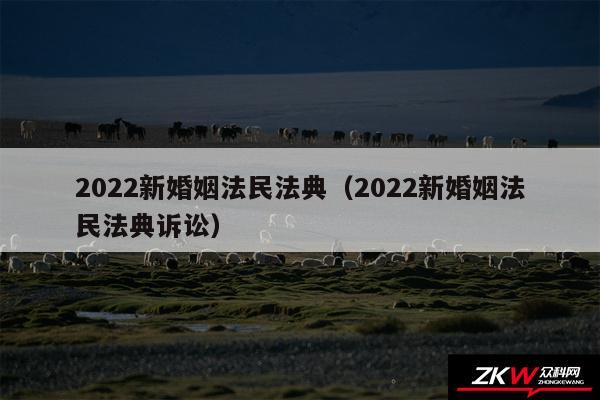 2024新婚姻法民法典以及2024新婚姻法民法典诉讼