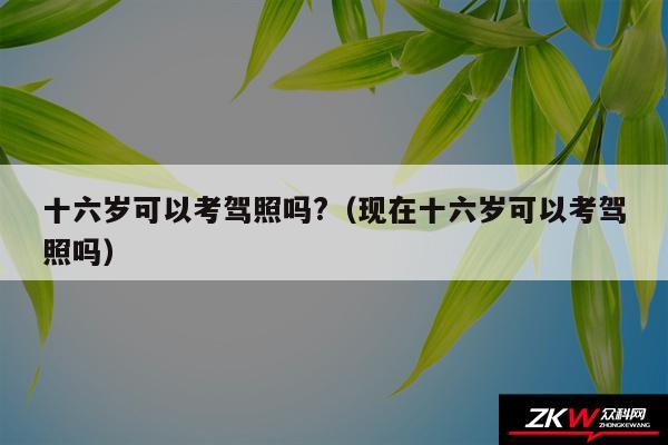 十六岁可以考驾照吗?以及现在十六岁可以考驾照吗