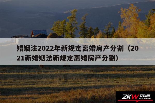 婚姻法2024年新规定离婚房产分割以及2024新婚姻法新规定离婚房产分割