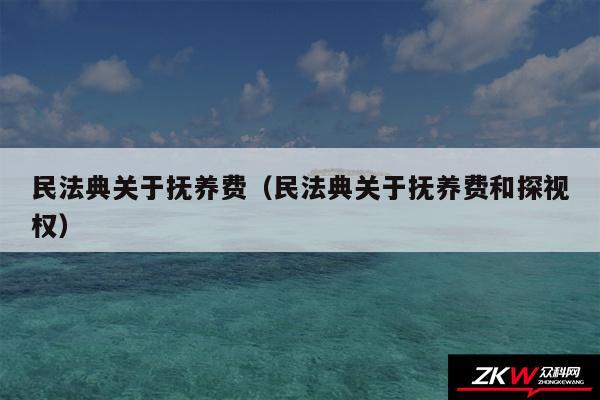 民法典关于抚养费以及民法典关于抚养费和探视权