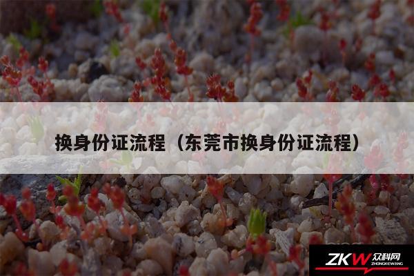 换身份证流程以及东莞市换身份证流程