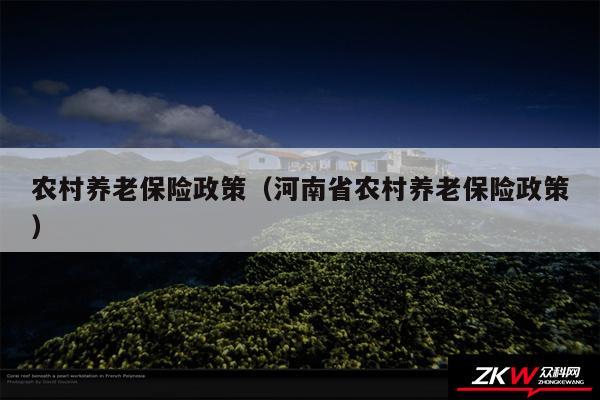 农村养老保险政策以及河南省农村养老保险政策