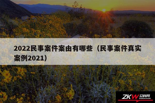 2024民事案件案由有哪些以及民事案件真实案例2024