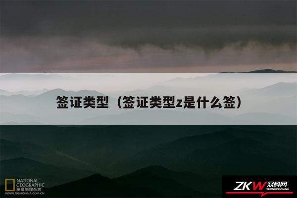 签证类型以及签证类型z是什么签