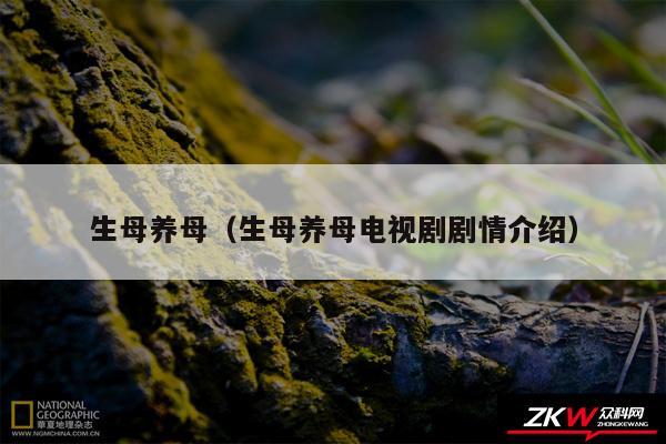 生母养母以及生母养母电视剧剧情介绍