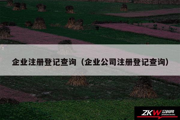 企业注册登记查询以及企业公司注册登记查询