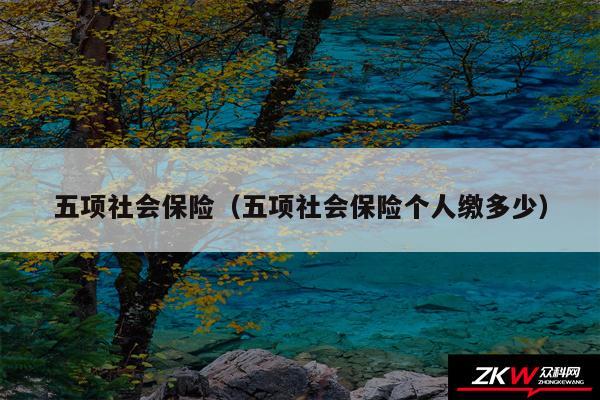 五项社会保险以及五项社会保险个人缴多少