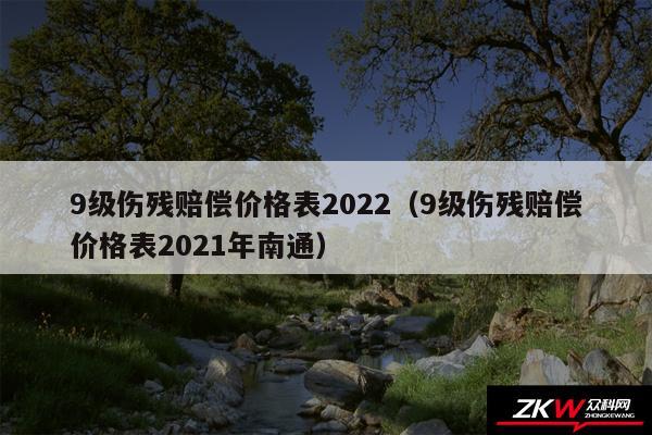 9级伤残赔偿价格表2024以及9级伤残赔偿价格表2024年南通