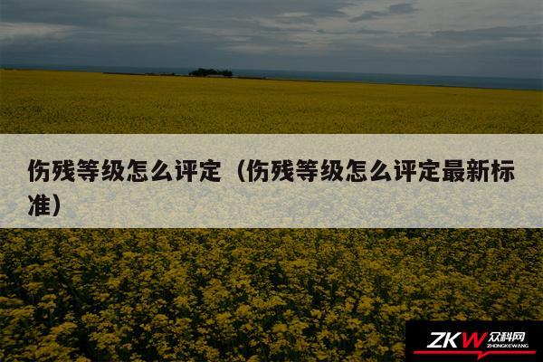 伤残等级怎么评定以及伤残等级怎么评定最新标准